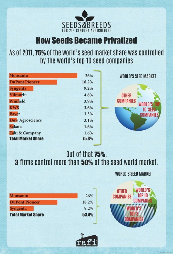 seed infographic