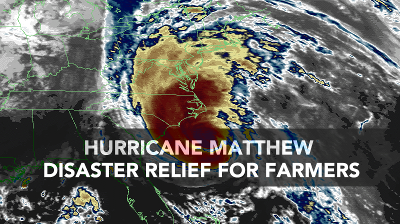 rafi_hurricane_matthew_blogpost-2_oct2016