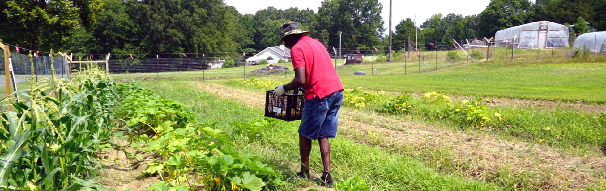 Farm and Faith Partnerships Project: Creation of a CSA