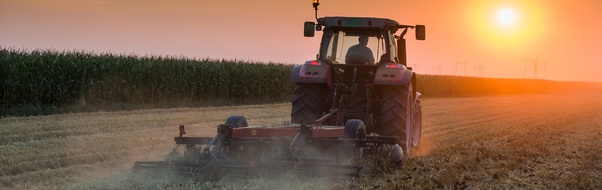 Webinario: Una guía para agricultores para aplicar al programa de ayuda por emergencias (ERP) Fase dos