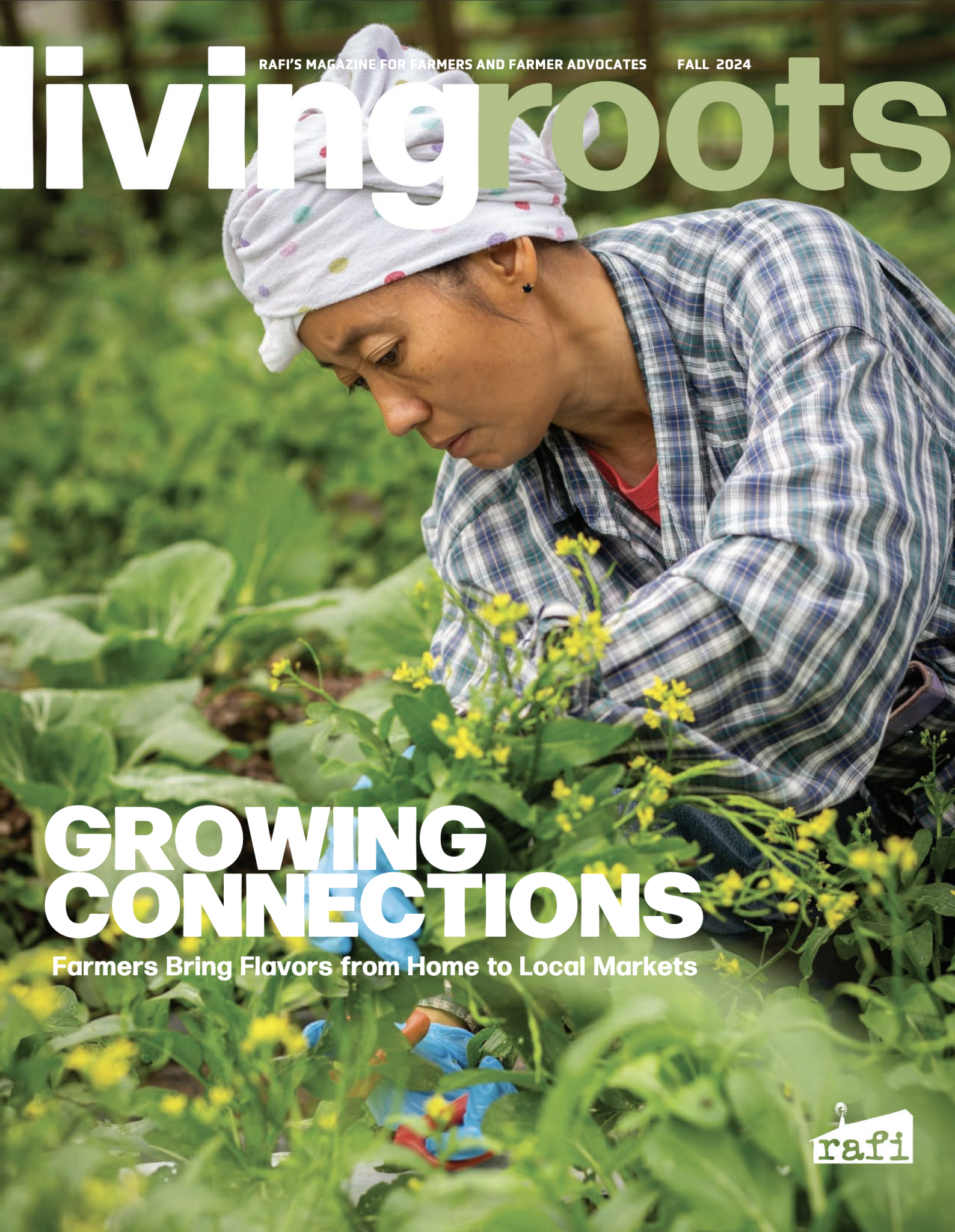 Growing Connections