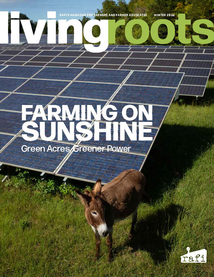 Farming on Sunshine