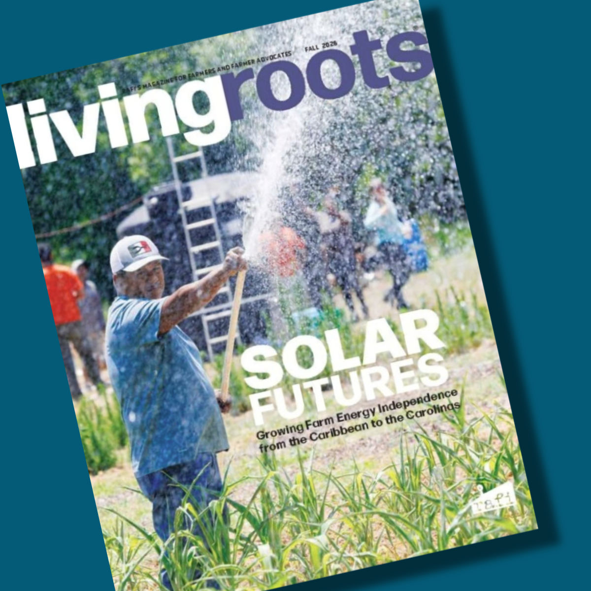 800 X 800 for Home page top three boxes (33) Living Roots Cover